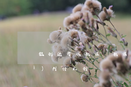 觸犯刑法可以取保嗎(取保出來一般會(huì)判什么刑)