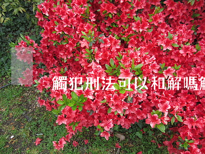 觸犯刑法可以和解嗎(觸犯刑法意味著什么)
