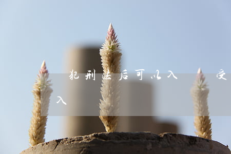 觸犯刑法后可以入黨嗎(受過刑事處罰的可以入黨嗎)