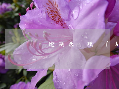 訂單逾期未處理會(huì)收到什么處罰-