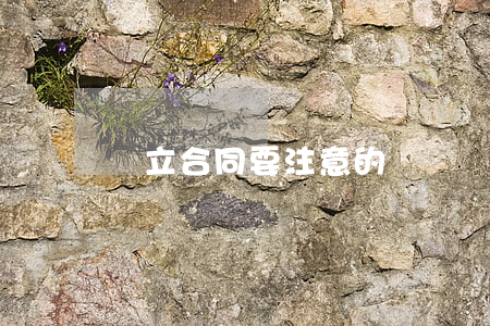 訂立合同要注意的幾個問題