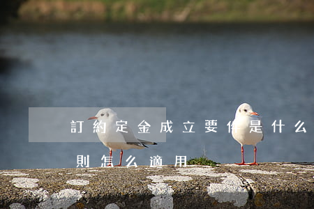訂約定金成立要件是什么，二手房買賣定金罰則怎么適用