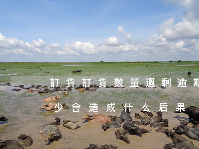 訂貨訂貨數量過剩逾期一年怎么辦-訂貨過少會造成什么后果