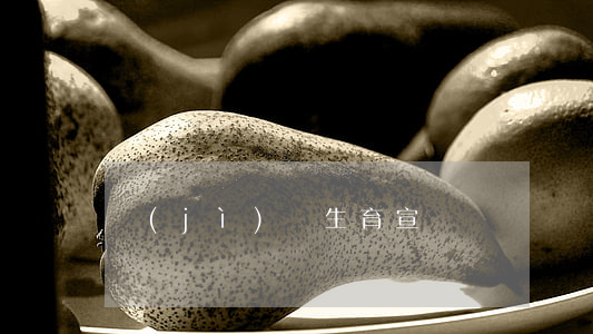 計(jì)劃生育宣傳