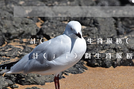 計(jì)劃生育服務(wù)證怎么辦理(計(jì)劃生育服務(wù)證辦理需要什么證件)