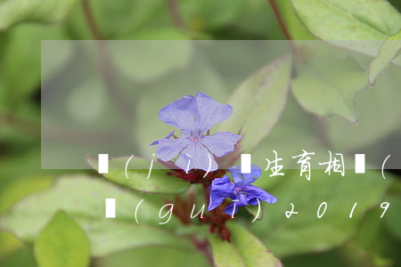 計(jì)劃生育相關(guān)法律法規(guī)2019(2020最新計(jì)劃生育新政策)