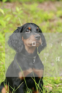 計(jì)算機(jī)信息系統(tǒng)保護(hù)法律法規(guī)(中華人民共和國(guó)計(jì)算機(jī)信息系統(tǒng)安全保護(hù)條例的條例內(nèi)容)