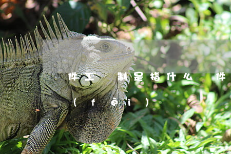 計件工資制是指什么（計件工資制有沒有加班費(fèi)）