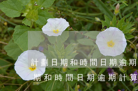 計劃日期和時間日期逾期計算公式-計劃日期和時間日期逾期計算公式怎么寫