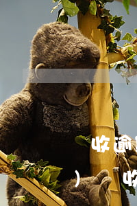 計收逾期貸款利息的標準(金融機構(gòu)計收逾期貸款利息的標準)