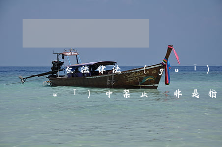 計生法律法規(guī)(計生法律法規(guī)中禁止兩非是指)