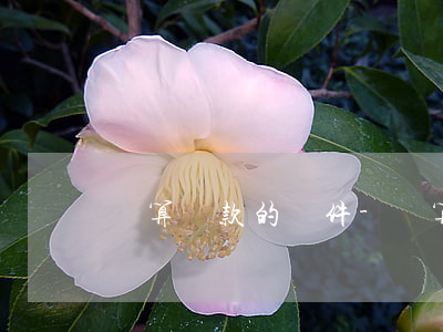 計算貸款的軟件-計算貸款的app