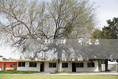 訊問期間律師可以在場嗎(公安 訊問 律師可以陪同嗎)