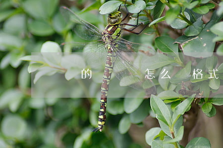 討債的訴訟狀怎么寫格式(討債起訴書范文)
