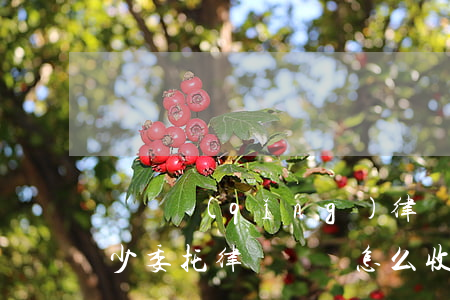 討債請(qǐng)律師費(fèi)用多少(委托律師討債怎么收費(fèi))