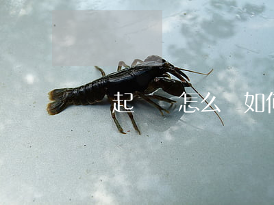 討債起訴書怎么寫(如何寫討債的起訴書?)
