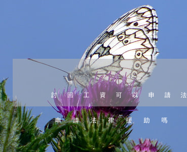 討回工資可以申請法律援助嗎(拖欠工資可以申請法律援助嗎)