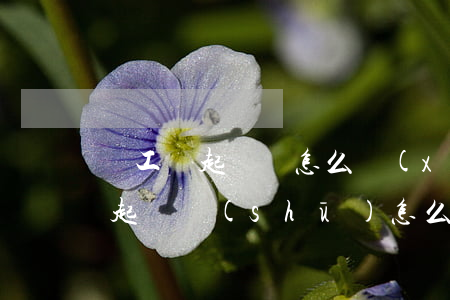 討工資起訴狀怎么寫(xiě)(討要工資的起訴書(shū)怎么寫(xiě))