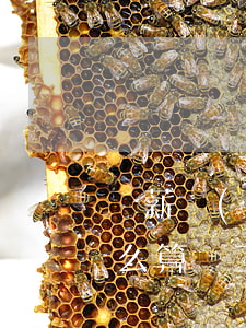 討薪產(chǎn)生的費(fèi)用怎么算(員工討薪的法律依據(jù))