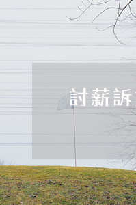討薪訴訟怎么寫(討薪申訴怎么寫)