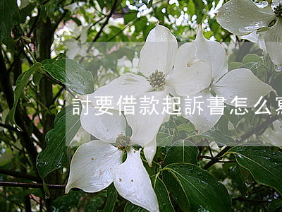 討要借款起訴書怎么寫(索要借款起訴書)