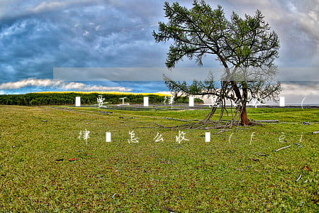 討要工資律師怎么收費(fèi)(討要工資律師怎么收費(fèi))