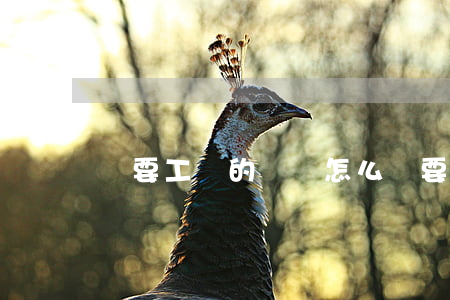 討要工資的訴狀怎么寫(要工資訴狀怎樣寫)