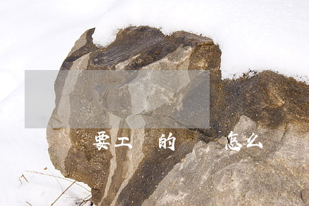 討要工資的訴狀怎么寫(討要工資的訴狀怎么寫?)