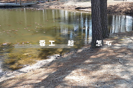 討要工資起訴書怎么寫(討要工資的訴狀怎么寫)