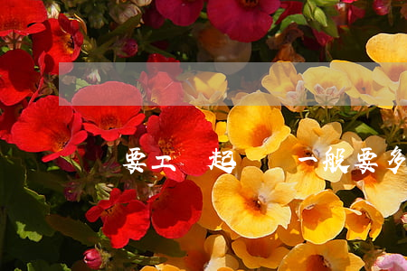 討要工資起訴費一般要多少錢