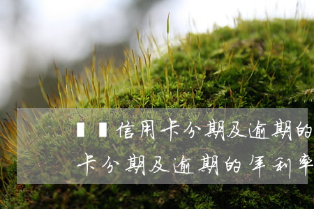 討論信用卡分期及逾期的年利率-討論信用卡分期及逾期的年利率的問題
