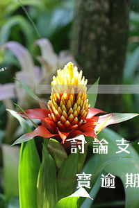 討論支付寶逾期話(huà)題-討論支付寶逾期話(huà)題會(huì)怎么樣