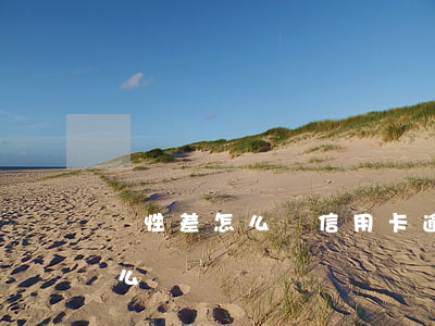 記性差怎么辦信用卡逾期(信用卡逾期了該怎么辦)