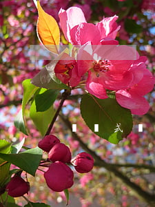 記賬式國債的優(yōu)點(diǎn)