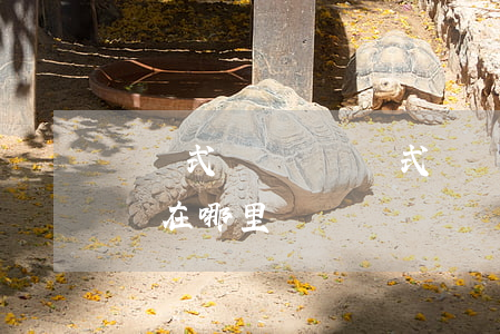 記賬式國債與憑證式國債的區(qū)別具體在哪里