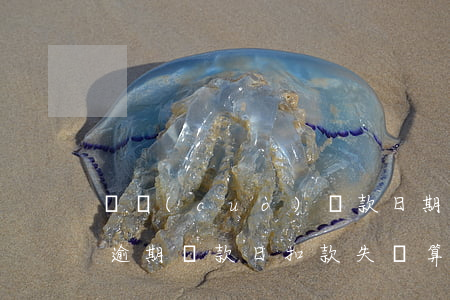 記錯(cuò)還款日期產(chǎn)生逾期(還款日扣款失敗算逾期嗎)