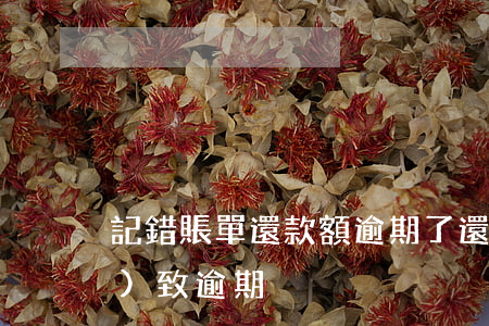 記錯賬單還款額逾期了(還款失敗導(dǎo)致逾期)