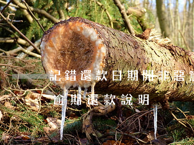記錯還款日期開非惡意逾期證明-并非惡意逾期還款說明