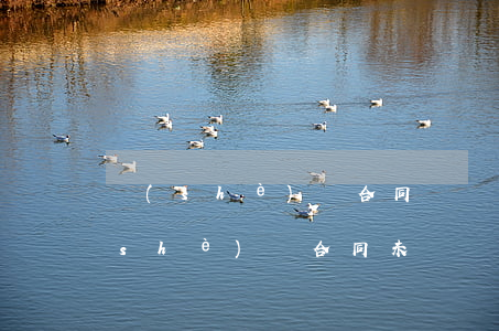 設(shè)備合同糾紛如何處理(買賣設(shè)備合同未簽訂,發(fā)生糾紛怎么辦)