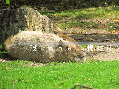 設(shè)備材料采購(gòu)合同