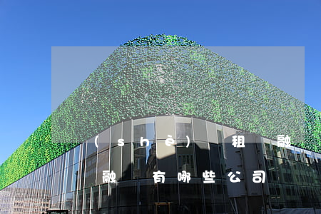 設(shè)備租賃融資(設(shè)備租賃融資有哪些公司)