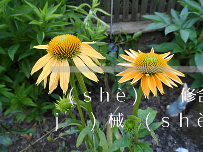 設(shè)備維修合同屬于什么合同(機(jī)械設(shè)備維修合同)