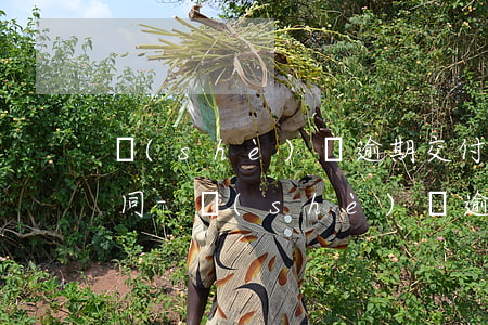 設(shè)備逾期交付用了一年后解除合同-設(shè)備逾期交付用了一年后解除合同有效嗎