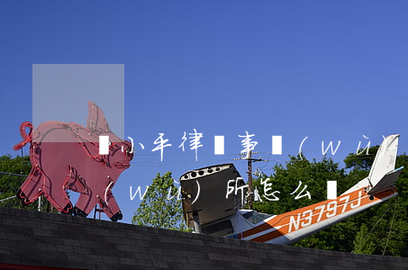 許小平律師事務(wù)所(許小平律師事務(wù)所怎么樣)