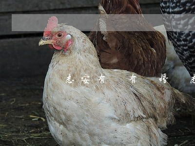 許志安有沒有離婚(許志安有沒有離婚)