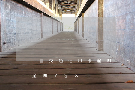 許昌交通信用卡逾期還不起怎么辦(我信用卡逾期了怎么辦)