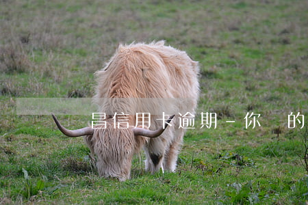 許昌信用卡逾期-你們的信用卡逾期多久了