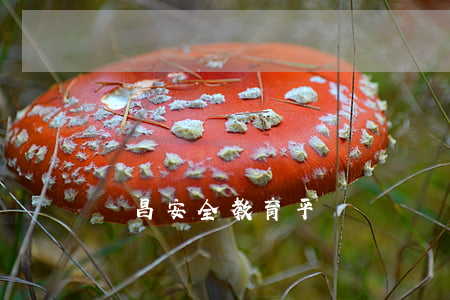 許昌安全教育平臺