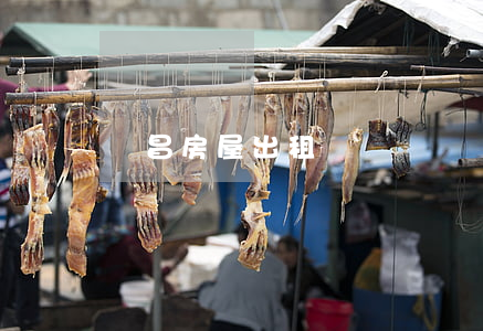 許昌房屋出租
