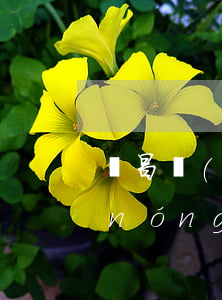 許昌農(nóng)商行信用卡利息-農(nóng)商行信用卡最低還款是多少